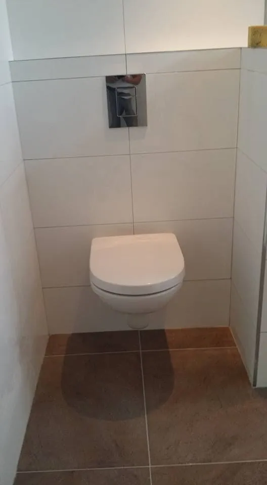 Het hangtoilet met inbouwreservoir en spoelplaat, in dezelfde witte wandtegel als de rest van de ruimte.