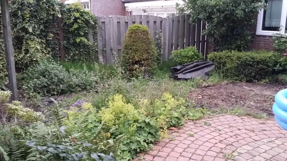 De achtertuin voor aanvang: een overwoekerd border met opgeschoten beplanting en een smal pad van oude klinkers.